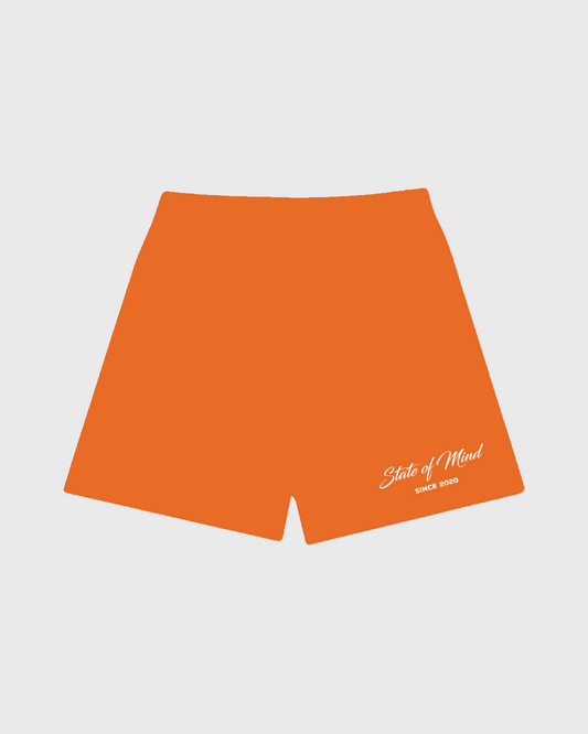 Mango Mesh Shorts